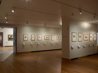 Special Exhibitions - Gallery 57