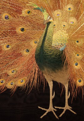 Screen with peacock and peahen, Japan, 1900 - c. 1910 (Museum no.: LI1956.21)