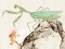 Detail of Praying mantis, bee, and prunus blossom, by Chen Fen, China, 1881 (Museum No: EA1966.200)