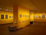 Special Exhibitions Gallery 3 - Visions of Mughal India exhibition. © Ashmolean Museum, University of Oxford