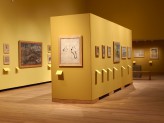Special Exhibitions Gallery 4 - Visions of Mughal India exhibition. © Ashmolean Museum, University of Oxford