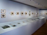 Special Exhibitions Gallery 1 - Xu Bing Landscape Landscript exhibition. © Ashmolean Museum, University of Oxford