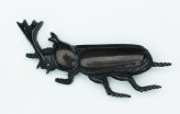 Figure of a stag beetle (EA1956.2824)