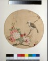 Bird on a flowering branch (EA1960.222)