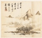 Landscape with a mountain and shrubs