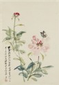 Peony and butterfly (EA1965.247)