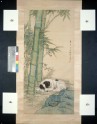 Dog beneath bamboo