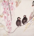 Pair of Java Sparrows