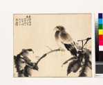 Bird on a branch (EA1972.25)