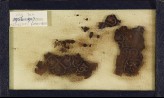 Group of textile fragments with quatrefoils (EA1984.364)