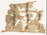 Textile fragment with vines and leaves