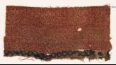 Textile fragment with wing-shaped flowers or vases, tendrils, and rosettes