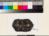 Textile fragment with hexagon, two palmettes, and leaves (EA1993.117)