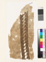 Textile fragment with hooked Z-shapes (EA1993.160)