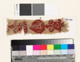 Textile fragment with diamond-shaped medallion and floral shapes, possibly from the neck of a tunic (EA1993.87)