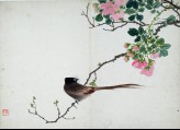 Bird sitting on a branch with pink flowers