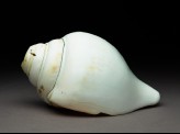 Ritual conch shell