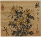 Autumn chrysanthemum (EA2000.154)