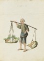 A Boy with Vegetables