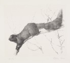 Squirrel (EA2007.33)