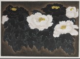 Black Peony, White Peony (EA2007.81)