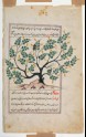 Page from a dispersed manuscript of Qazwini's ‘Aja'ib al-Makhluqat