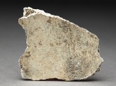 Oracle bone (EAX.510)