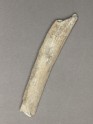 Oracle bone (EAX.512)