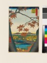 Maple Trees at Mama, Tekona Shrine, and Linked Bridge (EAX.4362)