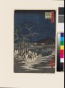 New Year's Eve Foxfires at the Changing Tree, Oji (EAX.4370)