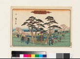 Cherry Trees in Full Bloom at Mount Asuka (EAX.4704)