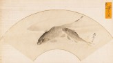 Two carp swimming in a pool (EAX.5380)