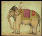 Royal elephant with mahout (LI118.47)