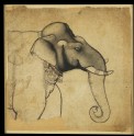 Head of an elephant (LI118.51)