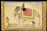 The elephant Ganesh Gaj and rider