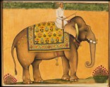 Elephant and rider