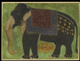 The elephant Khushi Khan (LI118.58)