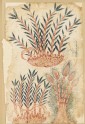 Three bamboo shoots, from a De Materia Medica manuscript (LI118.67)