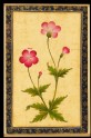 Pink composite flower with leaves (LI118.72)