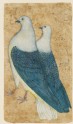 Two pigeons (LI118.92)