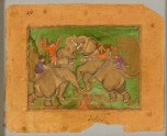 Elephants fighting