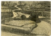 Terraced hillside in Hebei (LI2007.21)