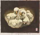 Chicks (LI2022.423)