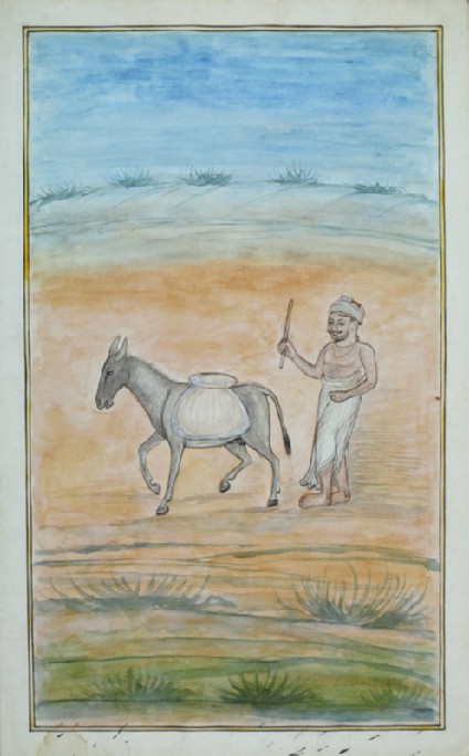 Man driving a mulefront