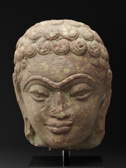 Head of a Jinafront