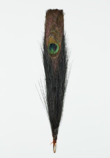 Peacock feather probably used to denote official ranktop