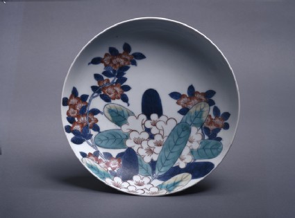 Dish with rhododendrons and azaleastop