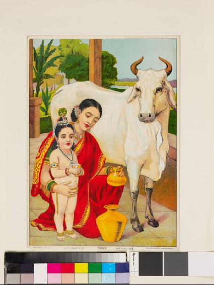 Go-dohana milking the cowfront