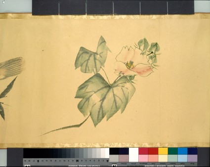 Camellia and lobsterdetail