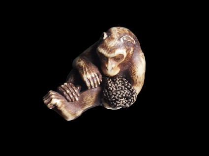 Netsuke in the form of a monkey groomingside